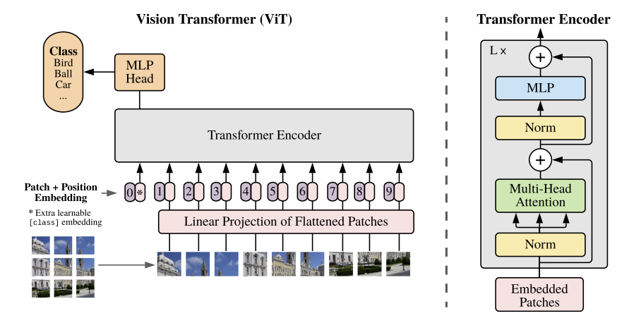 ViT Architecture
